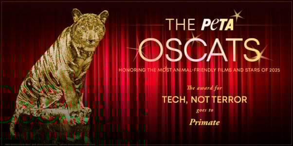 Oscat Certificate for Primate