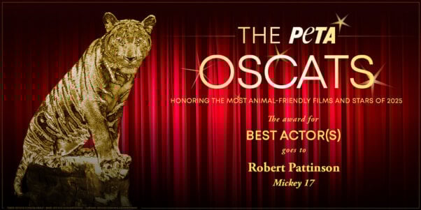 Oscat Certificate for Mickey 17