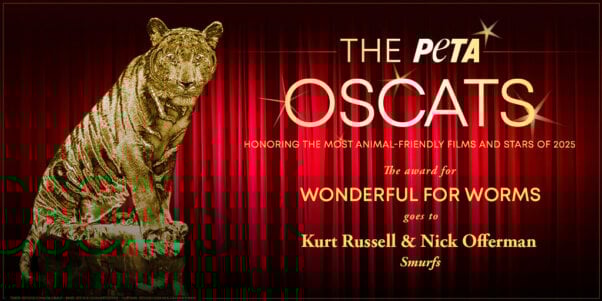 Oscat Certificate for Smurfs