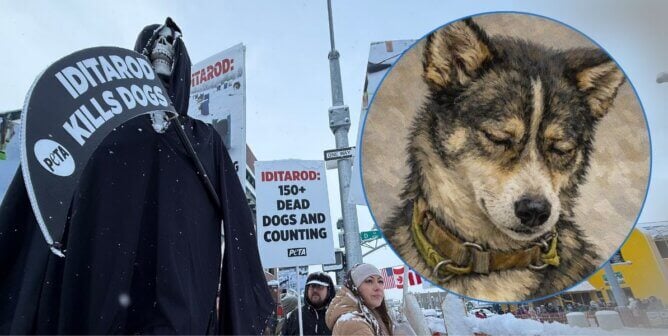 Charley portrait next to grim reaper demo photo