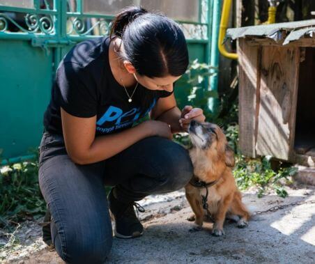 Woman helping dog