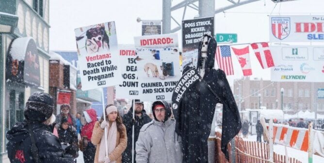 Demonstrators with signs