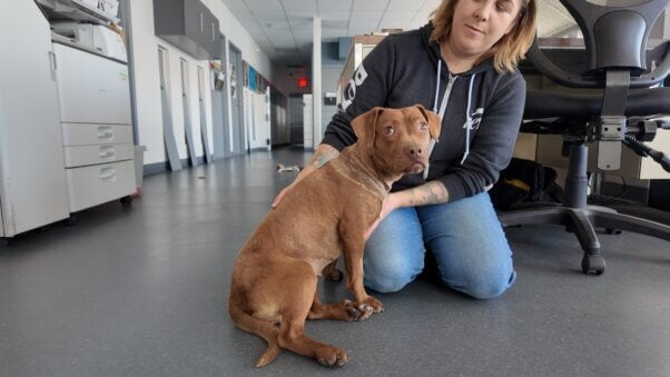 Liora sitting in PETA Norfolk offices