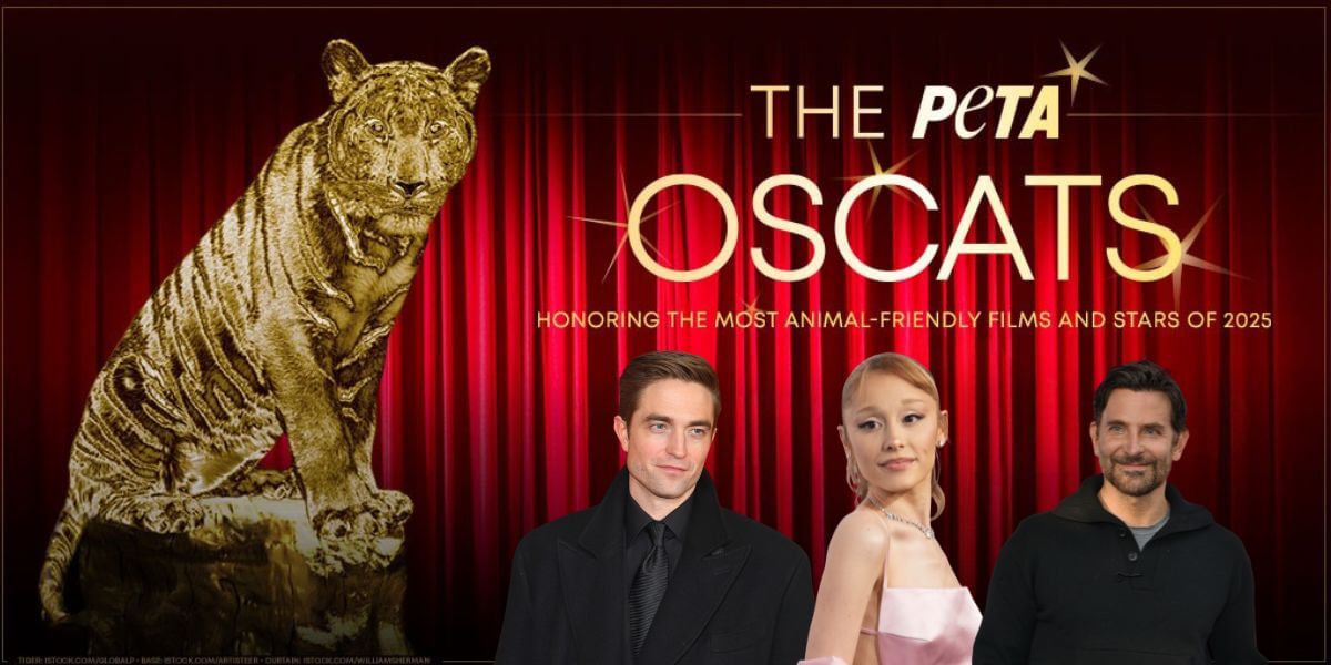 Take a ‘Meow’! Find Out Which Animal-Friendly Stars and Films Took Home an ‘Oscat’ From PETA