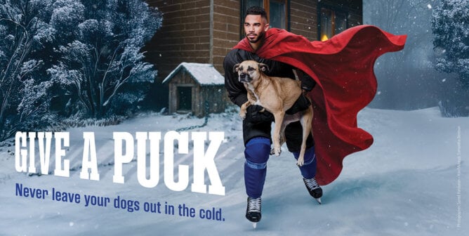 Evander Kane and a freed dog