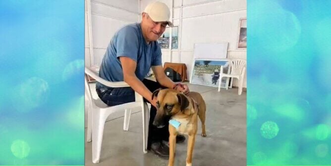 Client with companion animal