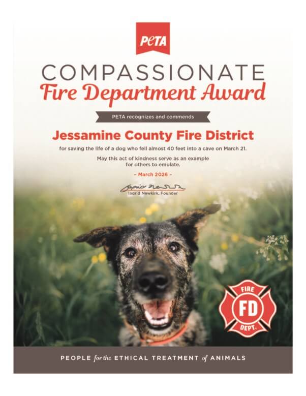 Compassionate Action Award