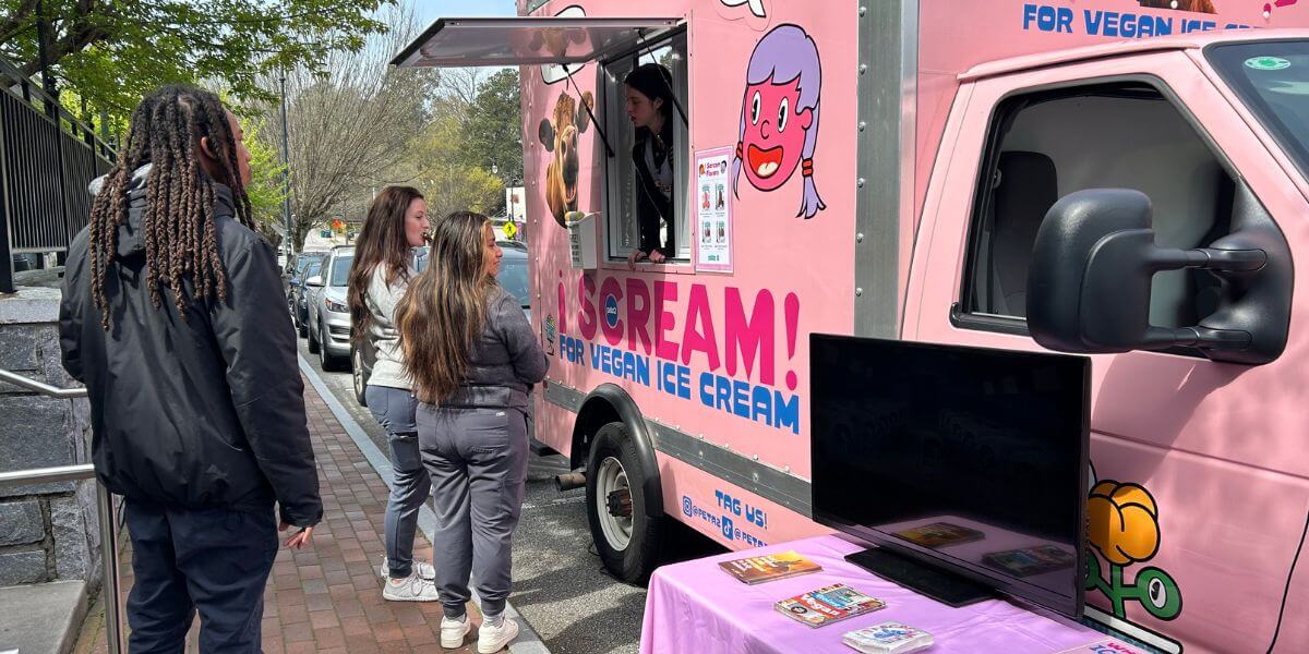 College students at the i Scream truck