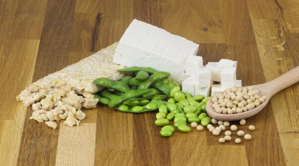 Tofu, tempeh, and edamame