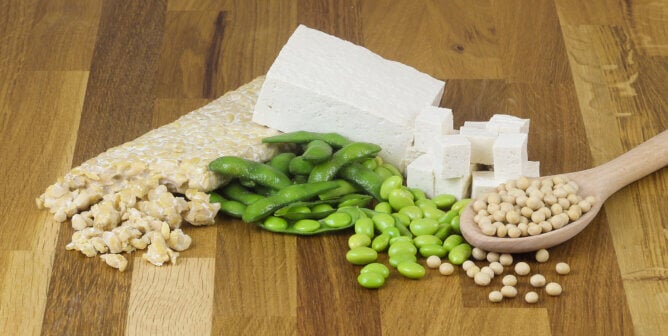 Tofu, tempeh, and edamame
