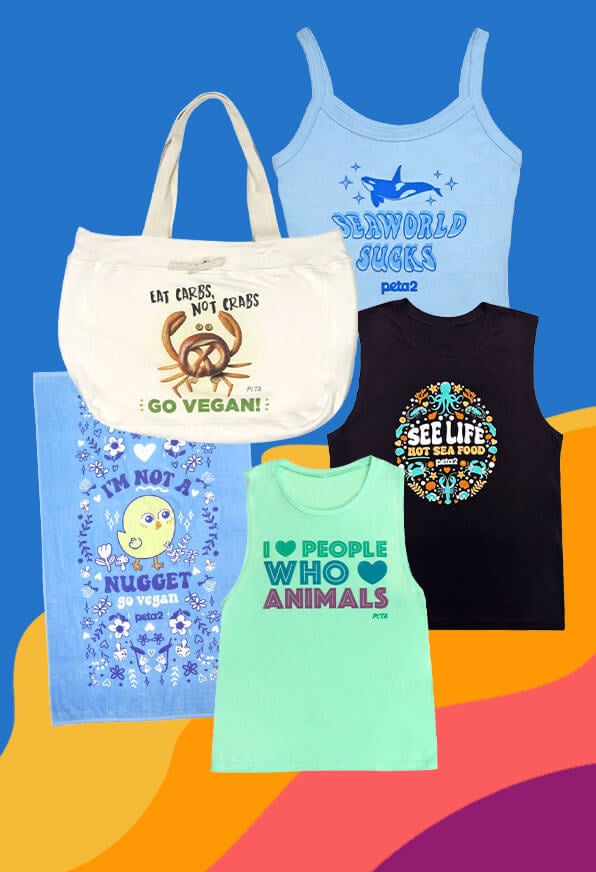 Clothing against a colorful background