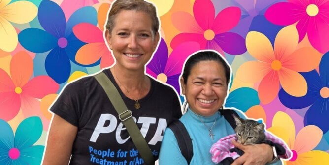 Staff and client with cat