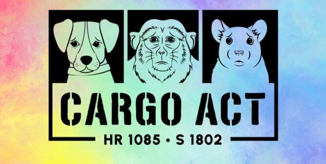 Cargo Act logo