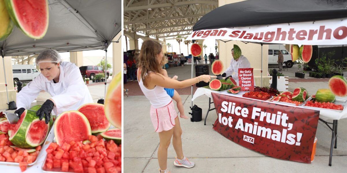 Watermelon 'butcher'