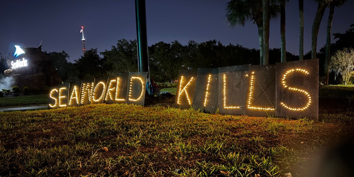 SeaWorld Kills Light Board