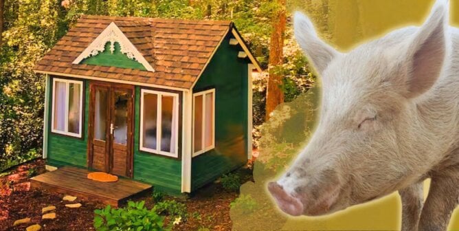 Cozy Cottage next to a photo of a pig