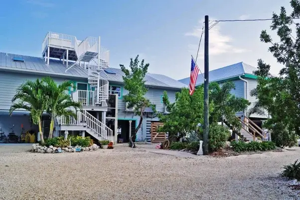 Deer Run on the Atlantic