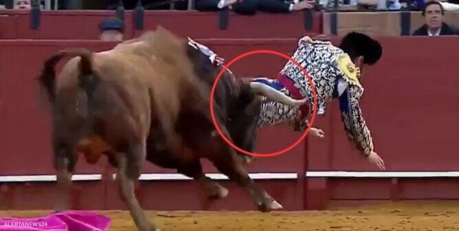 matador gored by bull