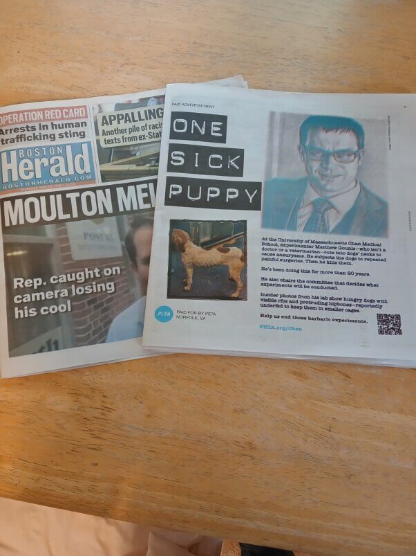 PETA’s full-page ad in the Boston Herald outed UMass Chan experimenter Matthew Gounis as “one sick puppy