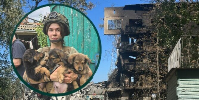 Rescuer holding puppies