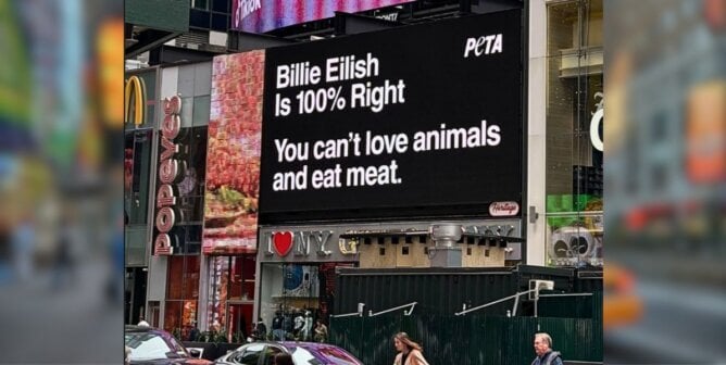 Billie Eilish billboard ad in Time's Square