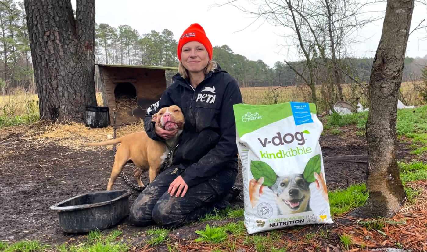 PETA CAP worker in the field with V-Dog Kind Kibble food