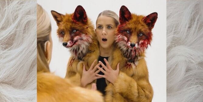 Georgia Meacham haunted by foxes