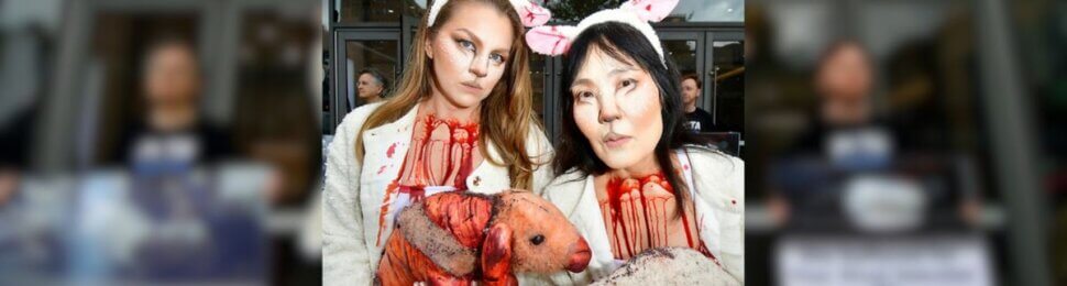 Two 'bloody' sheep