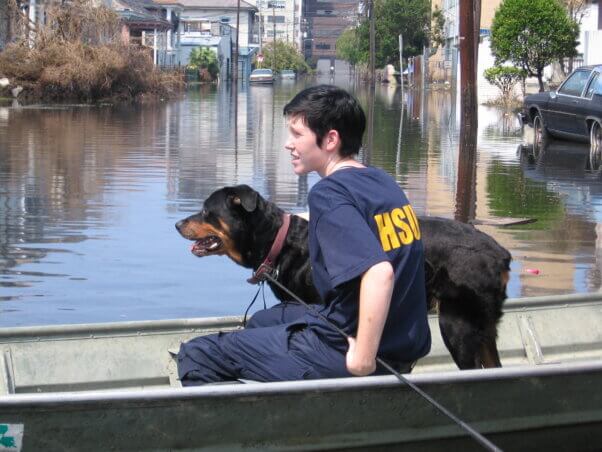 Dog rescued during Hurricane Katrina