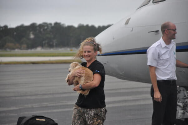 Dog displaced by Hurricane Maria flown to Norfolk from Puerto Rico