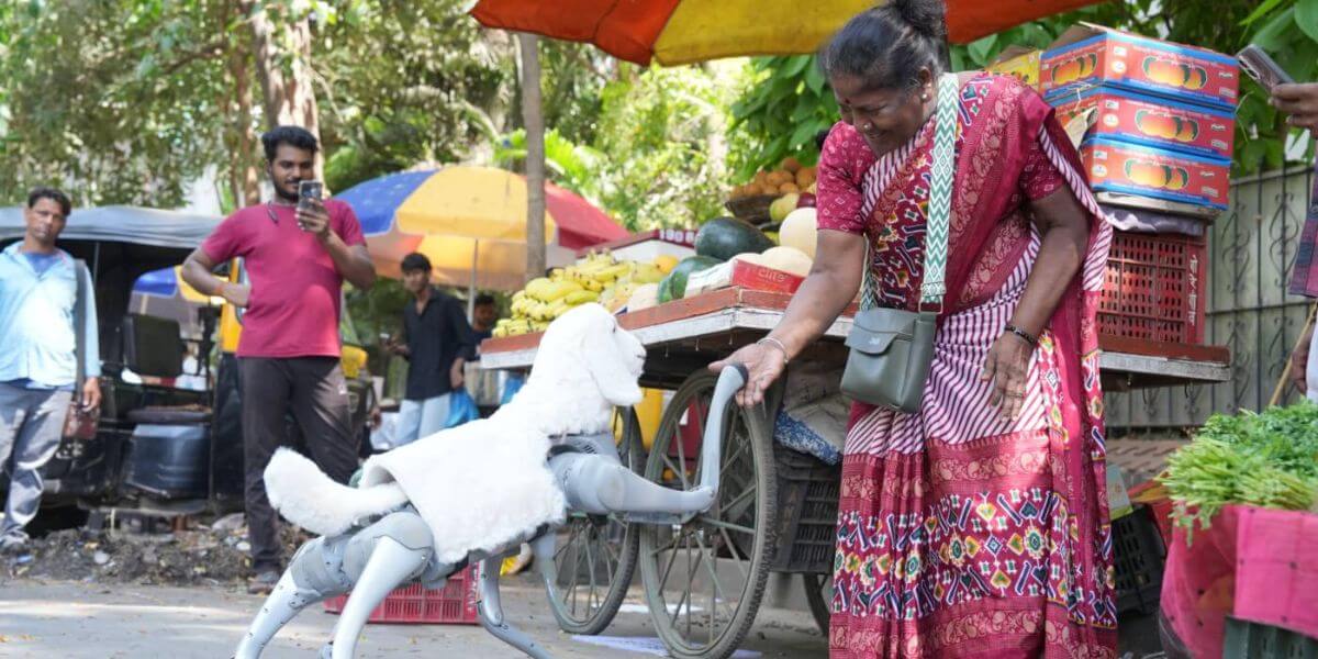 A woman greets a robot goat