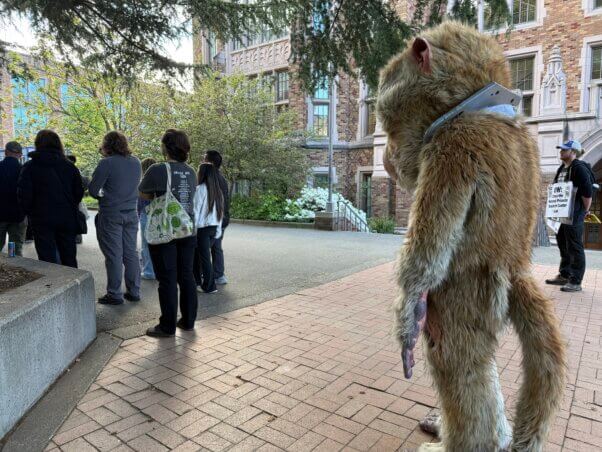 Dorothy protest
