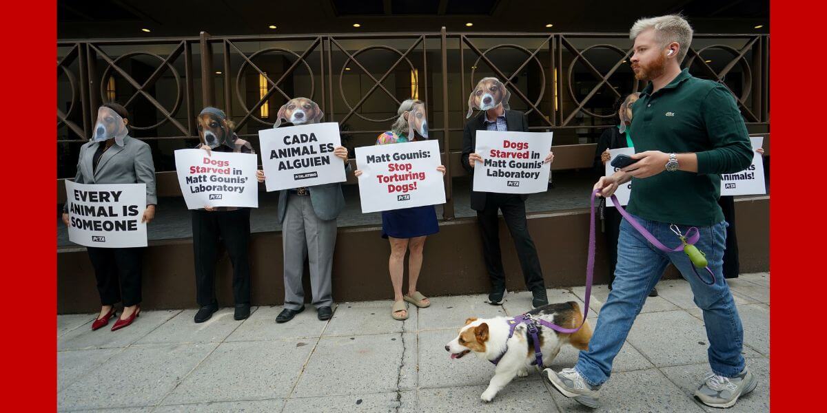 Demonstrators in dog masks holding signs as a passerby and his dog walk past.