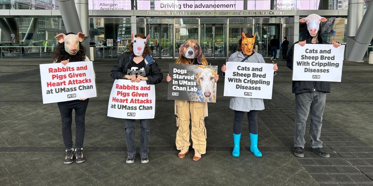Demonstrators in animal masks holding signs