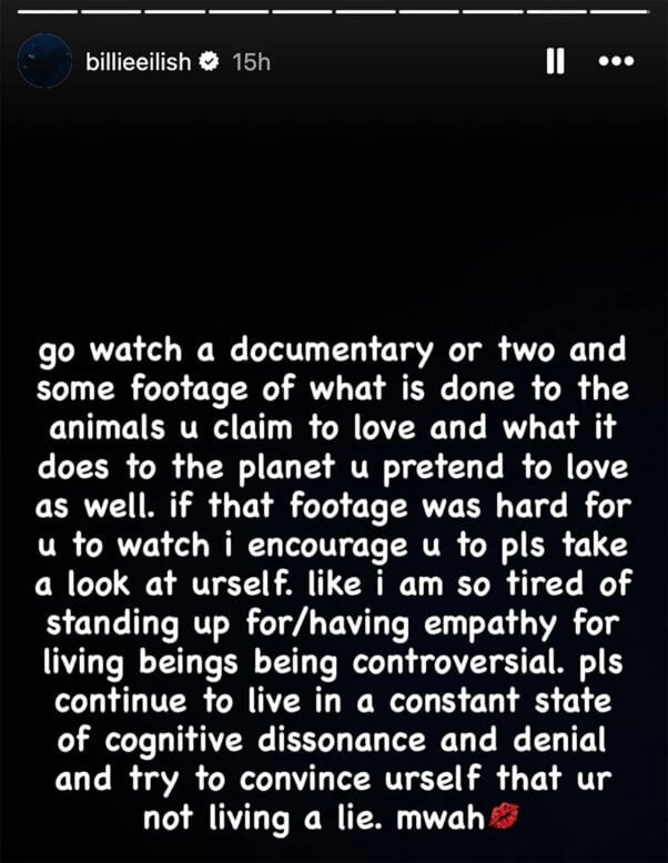 billie eilish instagram story