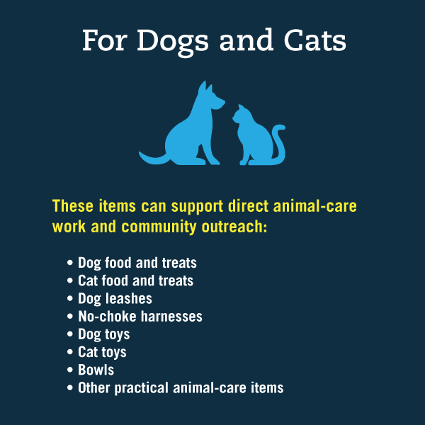 For Dogs and Cats
These items can support direct animal-care work and community outreach:
• Dog food and treats
• Cat food and treats
• Dog leashes
• No-choke harnesses
• Dog toys
• Cat toys
• Bowls
• Other practical animal-care items