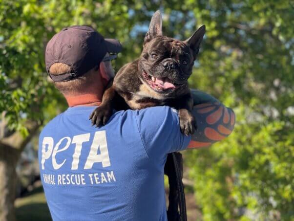 Pierre being held