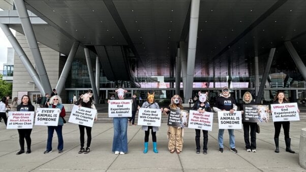 Demonstrators holding signs and wearing animal masks