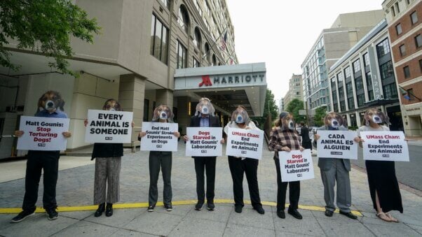 Demonstrators holding signs and wearing animal masks
