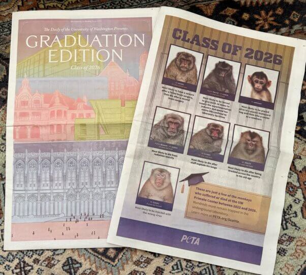 University of Washington full page ad