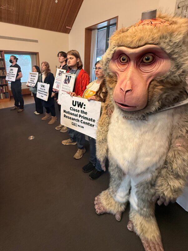 Demonstrators and Dorothy