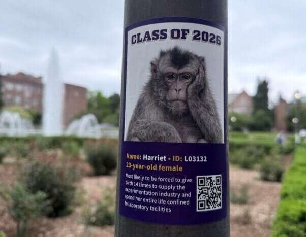 Class of 2026 flyer featuring Harriet