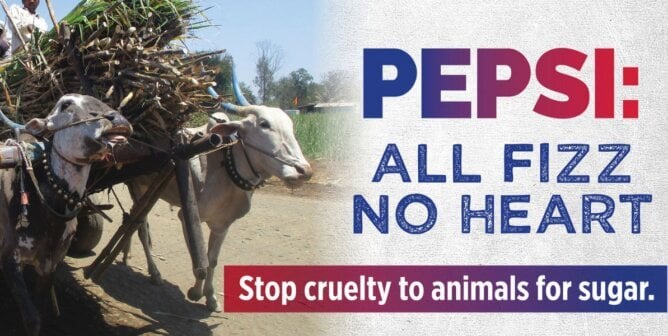 Pepsi: All Fizz No Heart