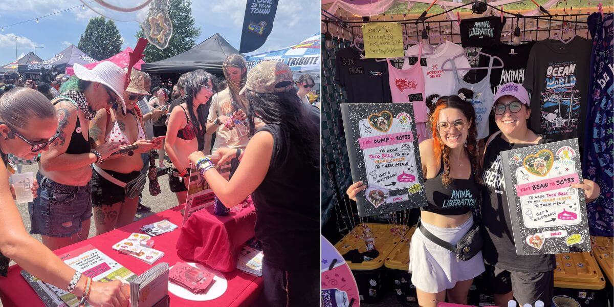 Festivalgoers at peta2's booths