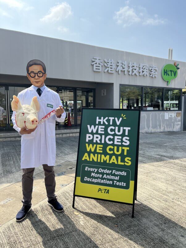 Person in mask with a 'pig head' standing next to a sign that reads "HKTV: We Cut Prices We Cut Animals"