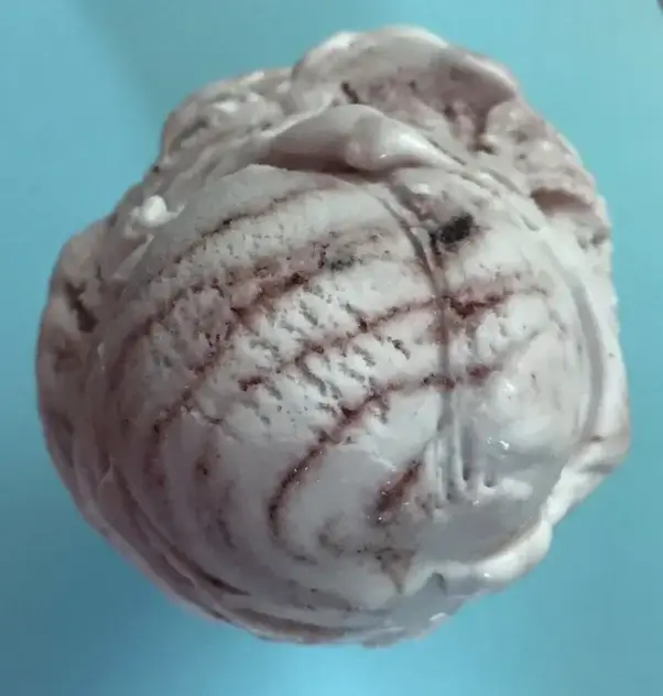 Vegan ice cream scoop