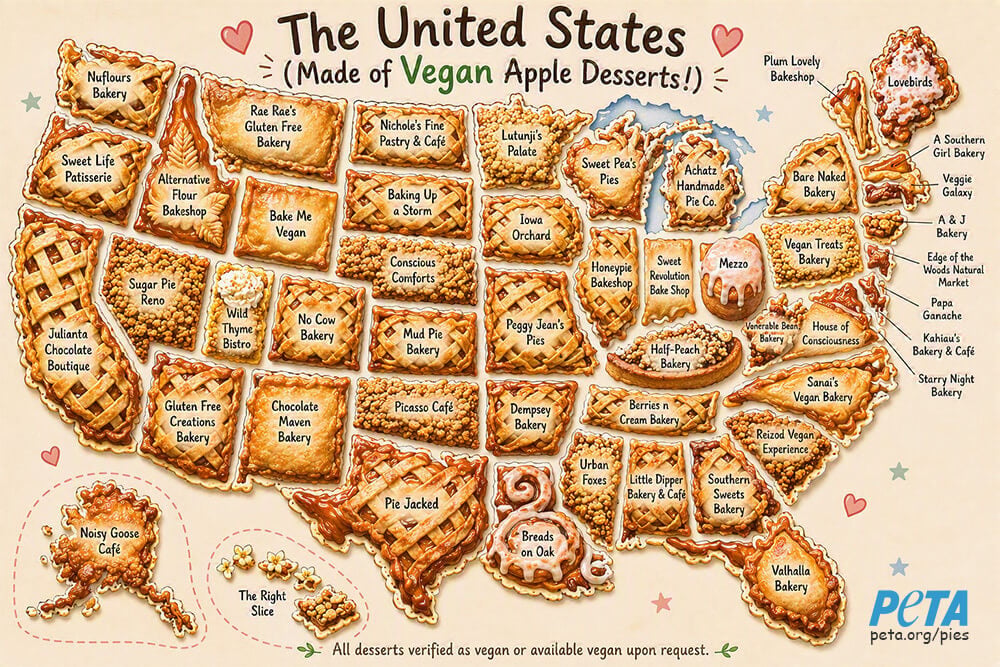 Map of the United States made of vegan apple desserts