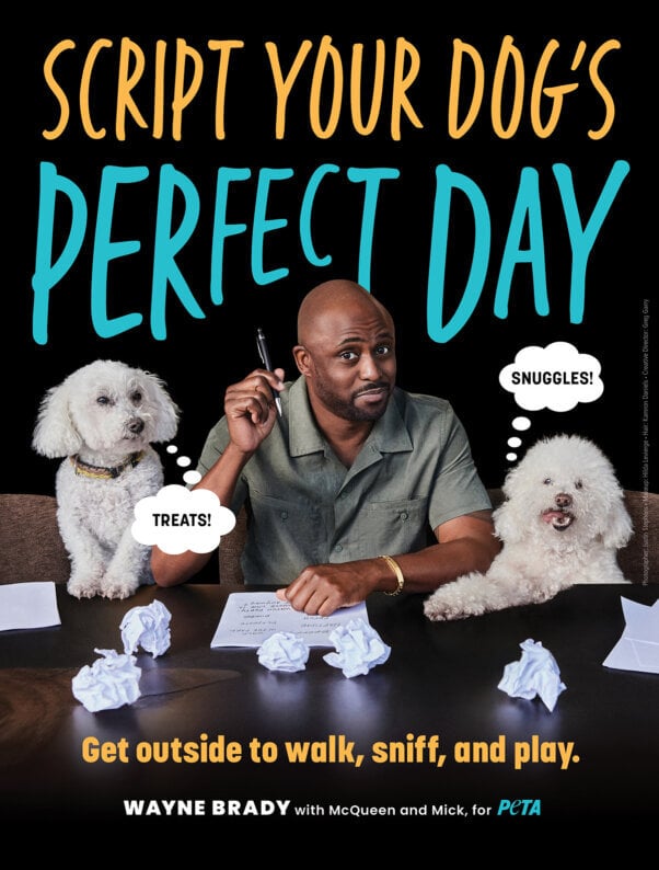 Wayne Brady "Script Your Dogs' Perfect Day" ad