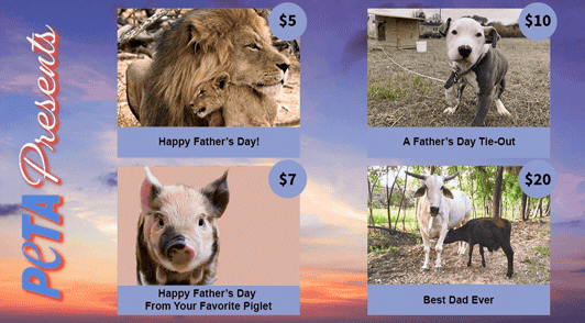 Father's day e-cards.