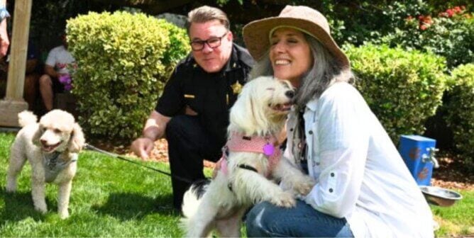 People with dogs